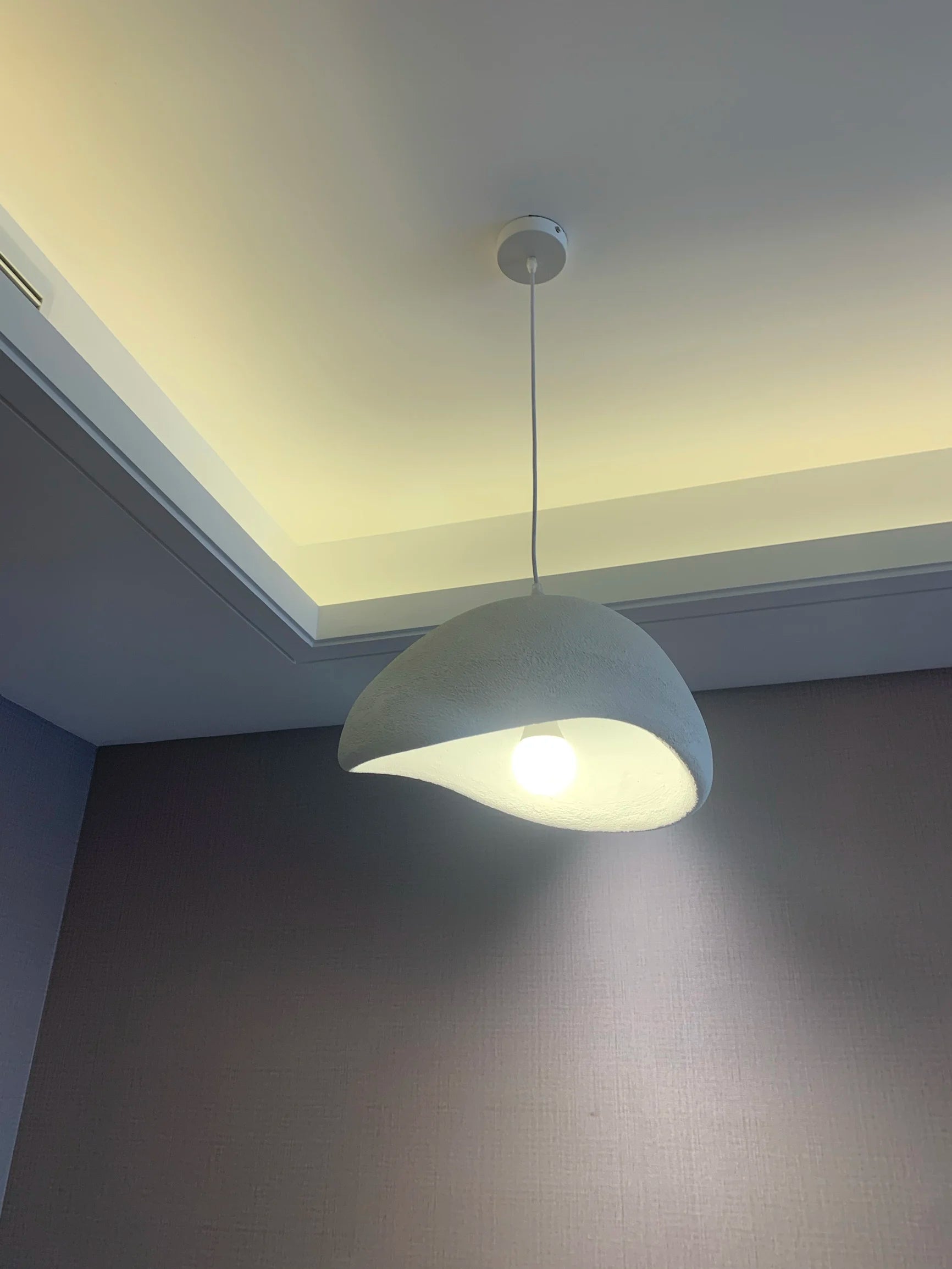 Modern Minimalist Pendant Light