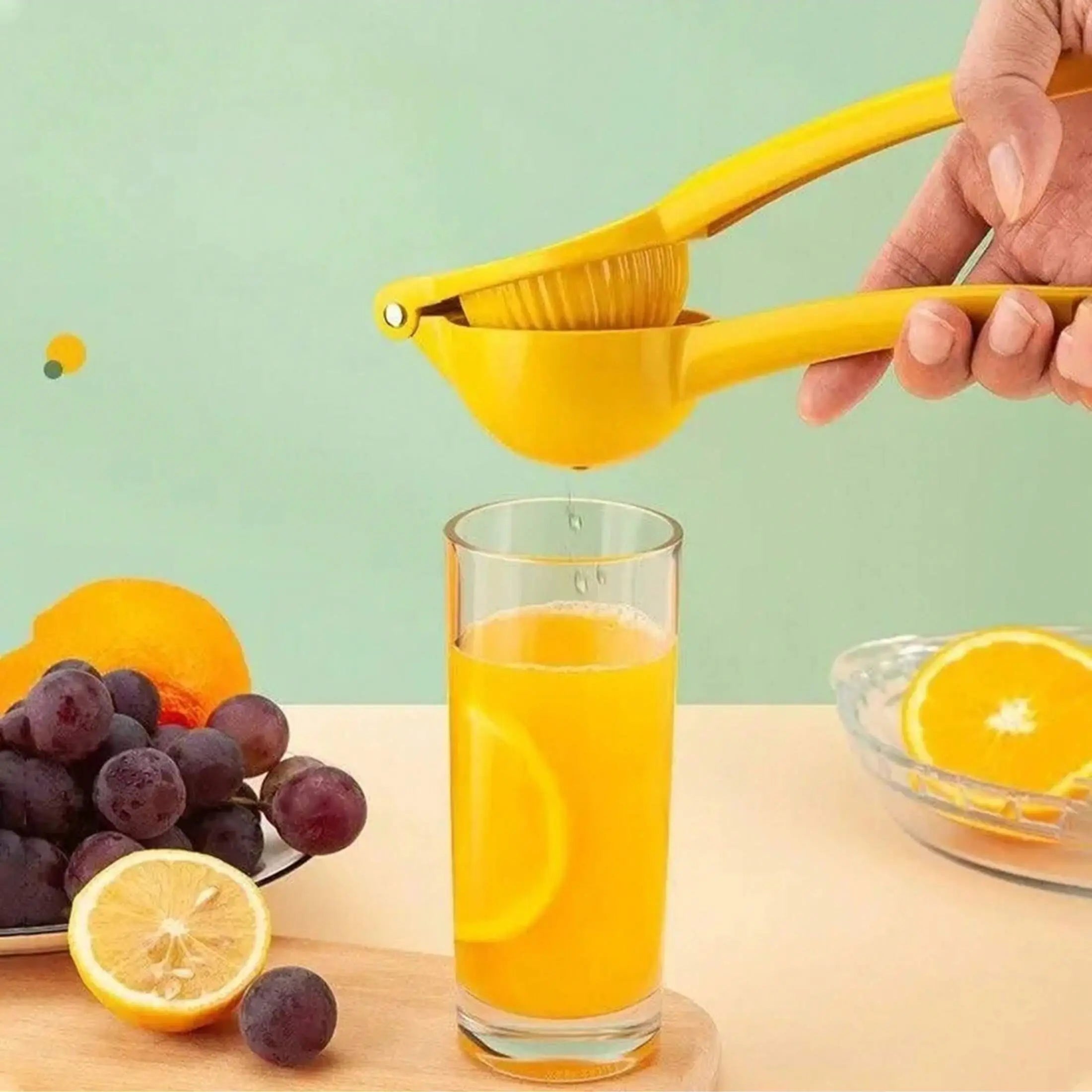 Home Manual Lemon Squeezer